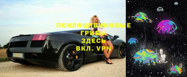 ПСИЛОЦИБИНОВЫЕ ГРИБЫ Семикаракорск